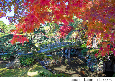 秋葉日本庭院 秋葉日本庭院 61258570