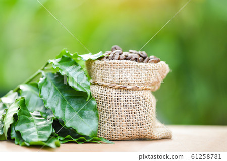 coffee beans in bag / Roasted coffee in sack with 61258781
