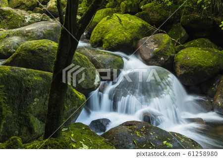 New Zealand Wailele Falls Wailele Falls Track Mountain Stream New Zealand Wailele Falls Wailele Falls Track Mountain Stream 61258980