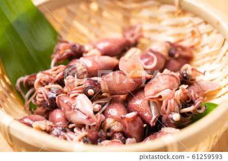 煮螢火蟲魷魚 煮螢火蟲魷魚 61259593