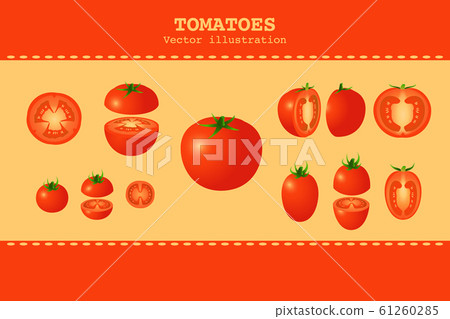 Illustration of various shaped tomatoes 61260285