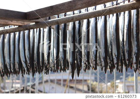 Saury 2 61260373