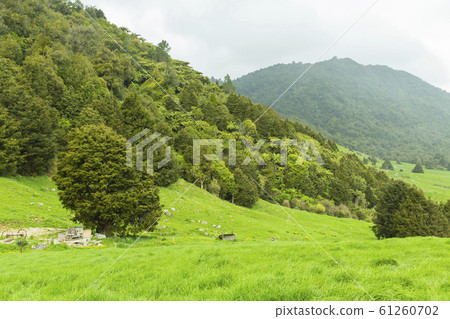 新西蘭Wairere瀑布山上的風景 新西蘭Wairere瀑布山上的風景 61260702