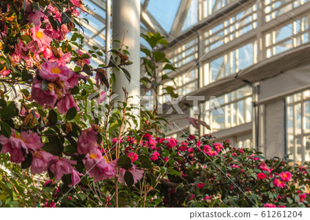 Changchung Palace Greenhouse Changchung Palace Greenhouse 61261204