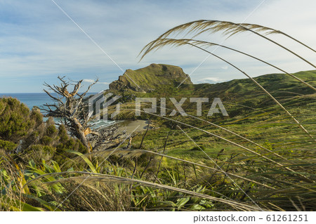 新西蘭Castle Point Castle Rock 新西蘭Castle Point Castle Rock 61261251