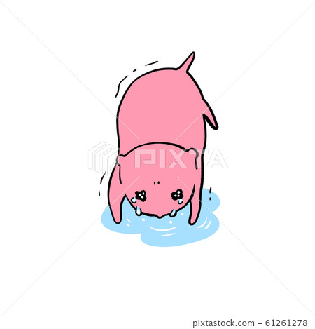 一隻粉紅色的老鼠,後悔俯身,流下眼淚 一隻粉紅色的老鼠,後悔俯身,流下眼淚 61261278