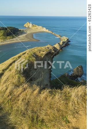 城堡岩的新西蘭城堡角視圖 61261428