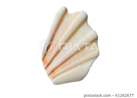 Seashell shards scallop Seashell shards scallop 61262677