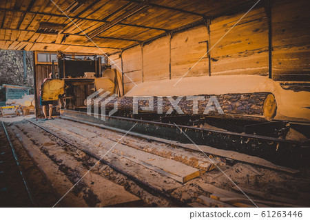 Sawmill. Process of machining logs in sawmill machine saws the tree trunk Sawmill. Process of machining logs in sawmill machine saws the tree trunk 61263446