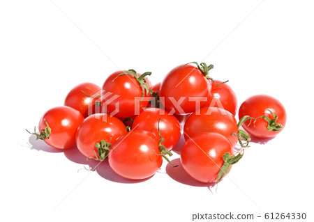 Mini Tomato Mini Tomato 61264330
