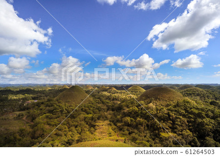 Bohol Island Chocolate Hills Bohol Island Chocolate Hills 61264503