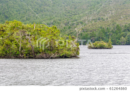 Dove Lake - Cradle Mountain Dove Lake - Cradle Mountain 61264860