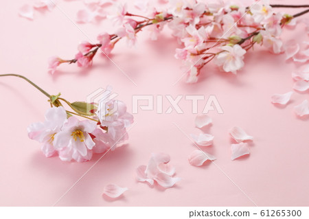 櫻花工作室攝影 61265300