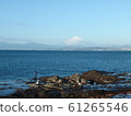 Mount Fuji  61265546