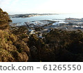 Enoshima Coast 61265550