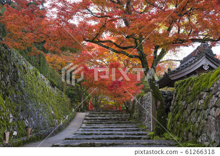 Kyoto Ohara approach to the front of Jikoin and autumn leaves 61266318