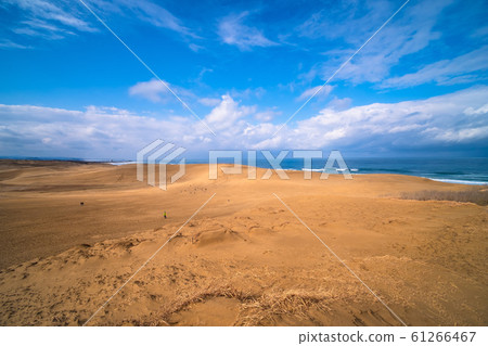 鳥取沙丘 鳥取沙丘 61266467