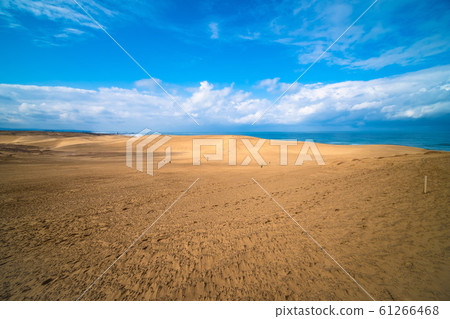 鳥取沙丘 鳥取沙丘 61266468