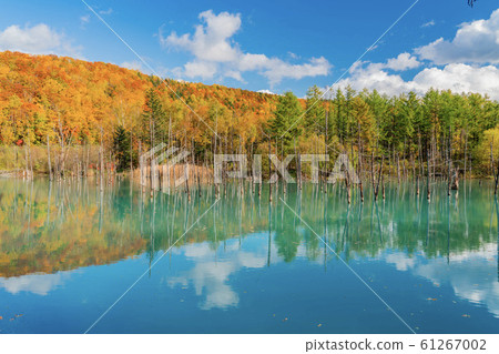 Blue pond Blue pond 61267002