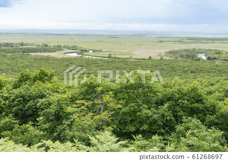 細田天文台 61268697