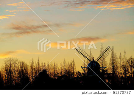 Morning glow 61270787