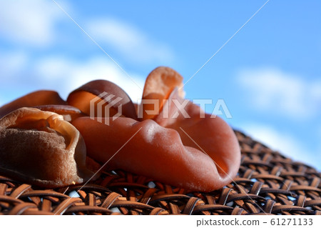 Lively jellyfish with ripple texture, jellyfish jellyfish, ingredients image material Lively jellyfish with ripple texture, jellyfish jellyfish, ingredients image material 61271133