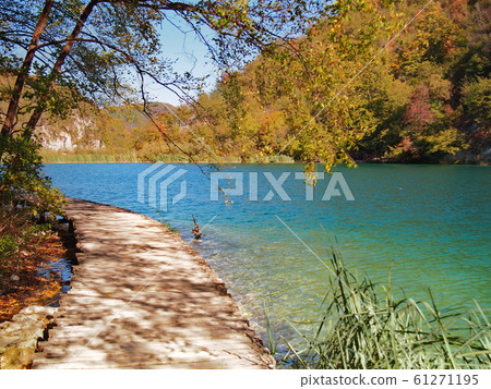 Plitvice Sunlight through autumn trail 61271195