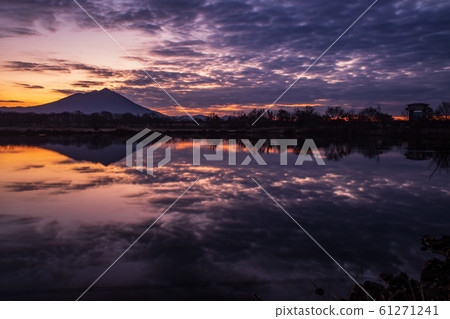 Morning glow 61271241
