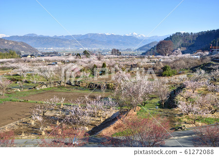 長野縣秩父市 61272088