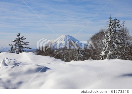 從中山Pass看到的冬季的約鐵山 61273348