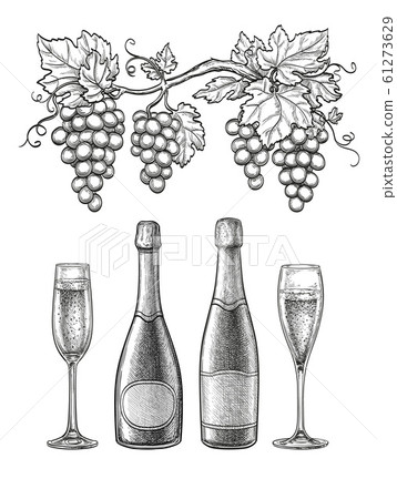 Champagne ink sketch set. Champagne ink sketch set. 61273629