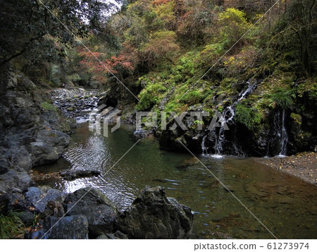 日本河流風光：京都北山的清Ki河 61273974