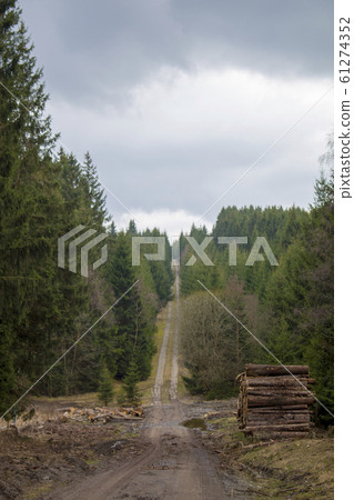 Peaceful sunset with a wooden walkway Empty landscape background photo 61274352