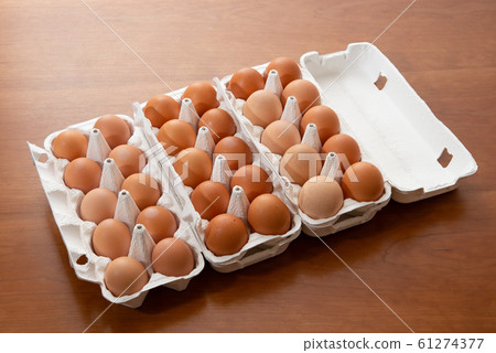 受精蛋雞蛋 受精蛋雞蛋 61274377
