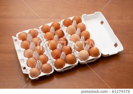 受精蛋雞蛋 受精蛋雞蛋 61274378