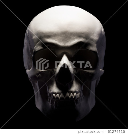 Front view of gypsum model of the human skull isolated on black background Front view of gypsum model of the human skull isolated on black background 61274510