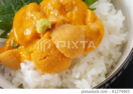 新鮮海膽的圖像照片 61274903