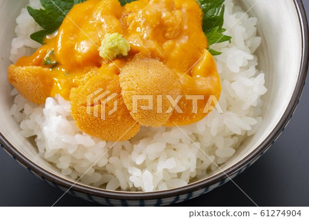 新鮮海膽的圖像照片 61274904