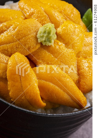 新鮮海膽的圖像照片 61274908