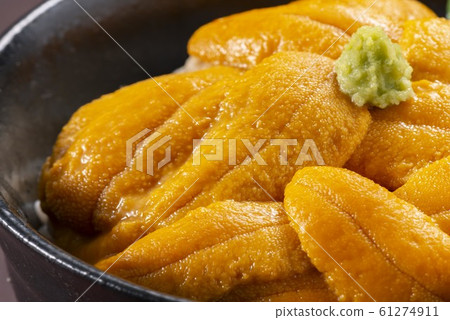 Image photo of fresh sea urchin 61274911