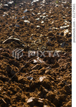 Field arable agricultural land ploughed after harvesting closeup Field arable agricultural land ploughed after harvesting closeup 61275681