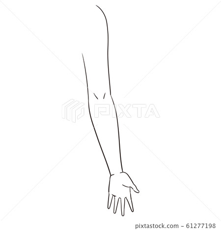 [Human body illustration series] Arms 61277198
