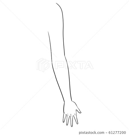[Human body illustration series] Arms 61277200