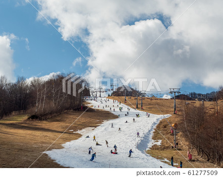 Hachi Kita Kogen Ski Resort became open only for artificial skis in the warm winter 61277509