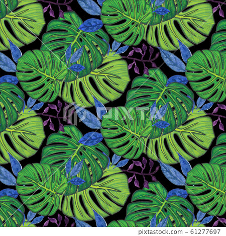 Seamless pattern with monstera leaves Seamless pattern with monstera leaves 61277697