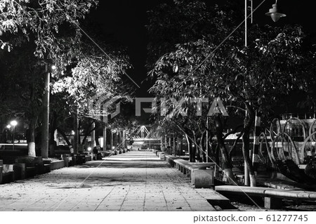 landscape of park in Vietnam in night landscape of park in Vietnam in night 61277745