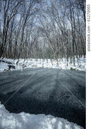 Niigata Prefecture Beauty Forest Snow Scene 61278005