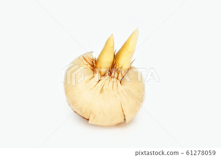 Crocus Crocus 61278059