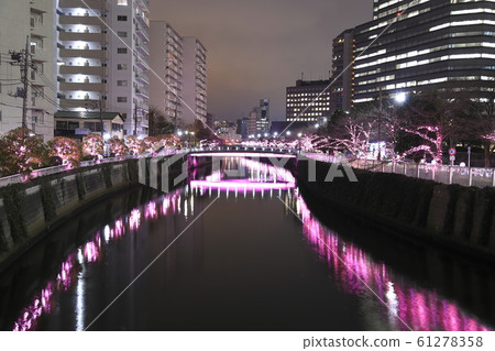 Meguro River Illumination: Morinagabashi Meguro River Illumination: Morinagabashi 61278358