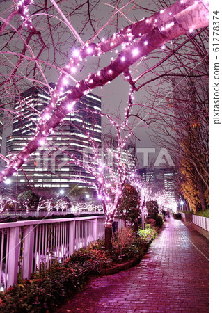 Meguro River illuminations Meguro River illuminations 61278374
